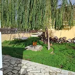 Appartement Suli Residences *